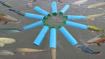 Smart Boy Makes Fish Trap Using A Lot Of PVC Pipe & Plastic Bottle