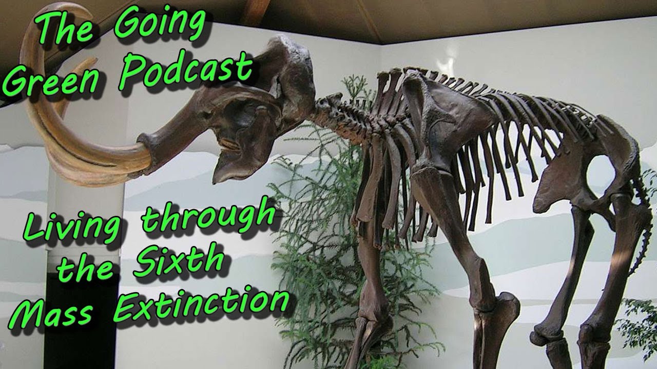 Are We In The 6th Extinction Event The Going Green Podcast Episode Are we in the 6th extinction event the going green podcast episode