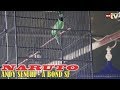 Cucak Ijo Naruto Menggila Di Road To Bnr Award A Bond Sf Naik Podium Juara Umum Mp3 - Mp4 Download