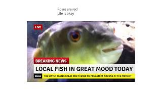 Best Poems Of Rboottoobig