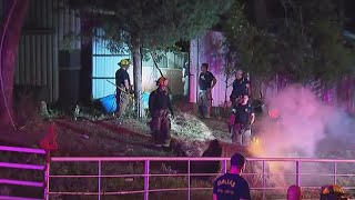 2 Horses Killed In Dallas Barn Fire