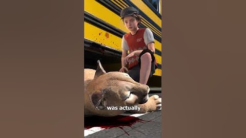 A Mountain Lion Attacked A School Bus 😨