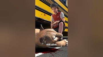 A Mountain Lion Attacked A School Bus 😨