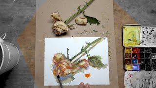 PROCESS: Daily Rose Watercolour Painting DAY 2343 (20220106THU)