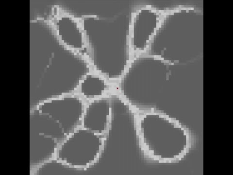 Slime Mold Algorithm Daniela Souleva Jonathan Schill