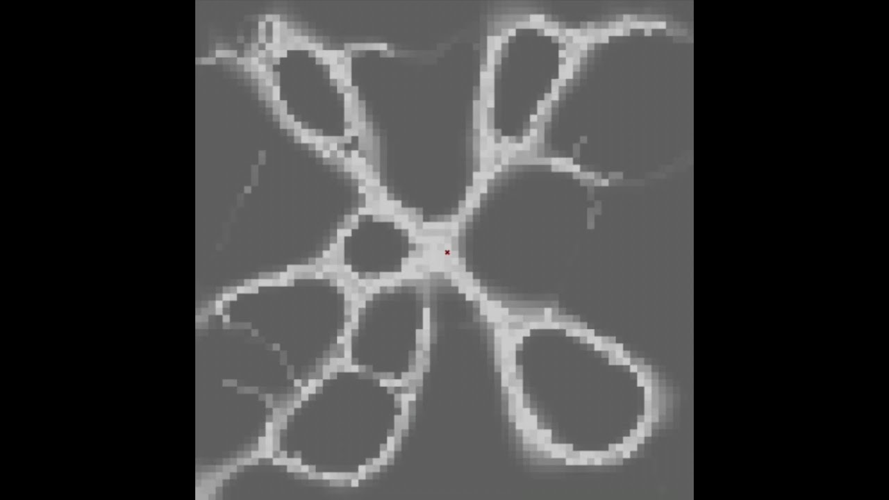 Slime Mold Algorithm Daniela Souleva Jonathan Schill - YouTube