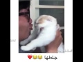 دايى افه نه ماجه افه مرنه