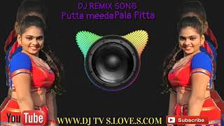 New Telugu latest remix DJ song Putta meeda Pala pitta DJ remix www.DJ TV S.LOVE.S.COM