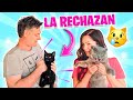 ASÍ REACCIONAN AL GATITO BEBÉ LOS GATOS VIEJOS 😱 Sandra Cires Art