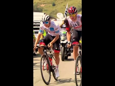 Video: Tadej Pogacar: jalgrattasõidu uue sensatsiooni taga