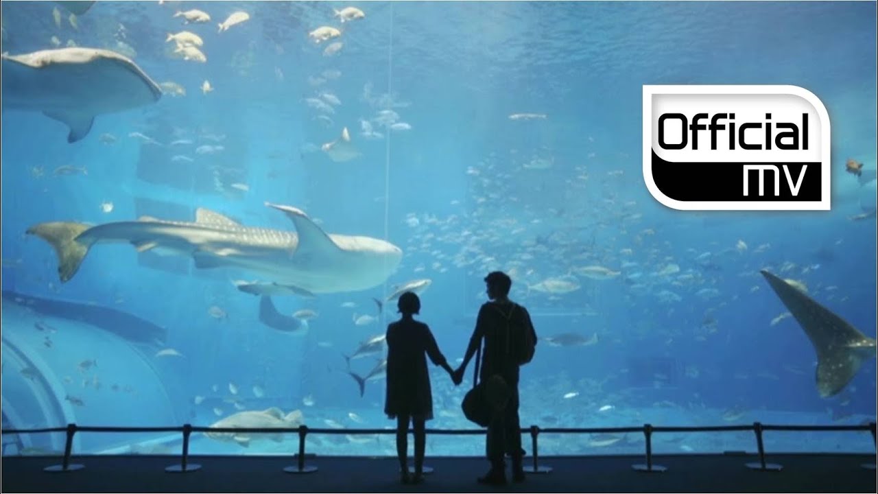 [MV] What Women Want(왓위민원트) _ Curious(궁금해졌어) (Feat. Jung Yup(정엽))