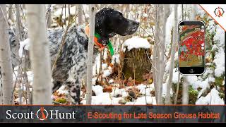 E Scouting with ScoutNHunt for Late Season Grouse Hunting