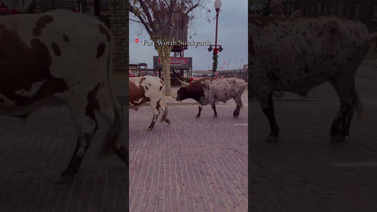 Your sign to visit Fort Worth TX💯