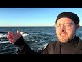 О кохана я несу тобі літо 