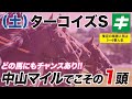 ターコイズステークス 2021 【予想】毎年波乱の牝馬重賞！中山マイルでこそのイチオシ★馬を全力応援！