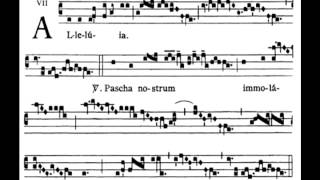 Alleluia pascha nostrum   Mass for Easter Day   Mode VII chords