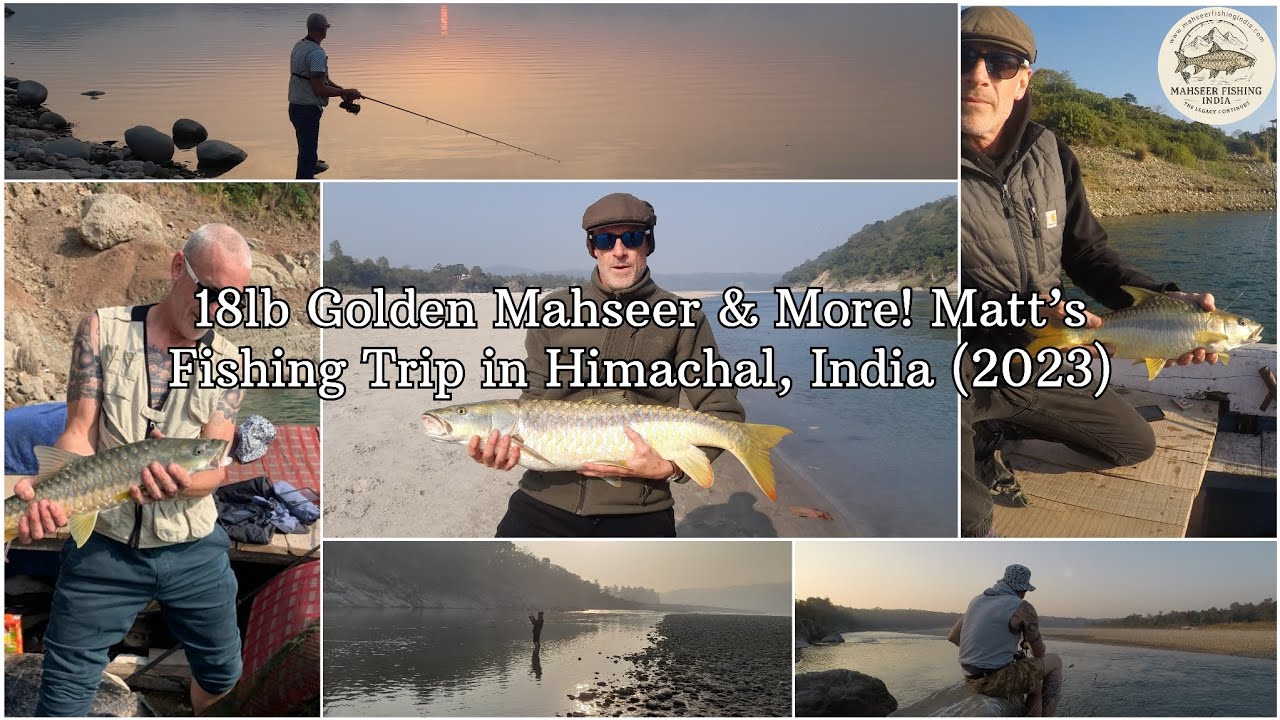 18lb Golden Mahseer & more! Matt's Fishing Trip in Himachal Pradesh, India (2023)