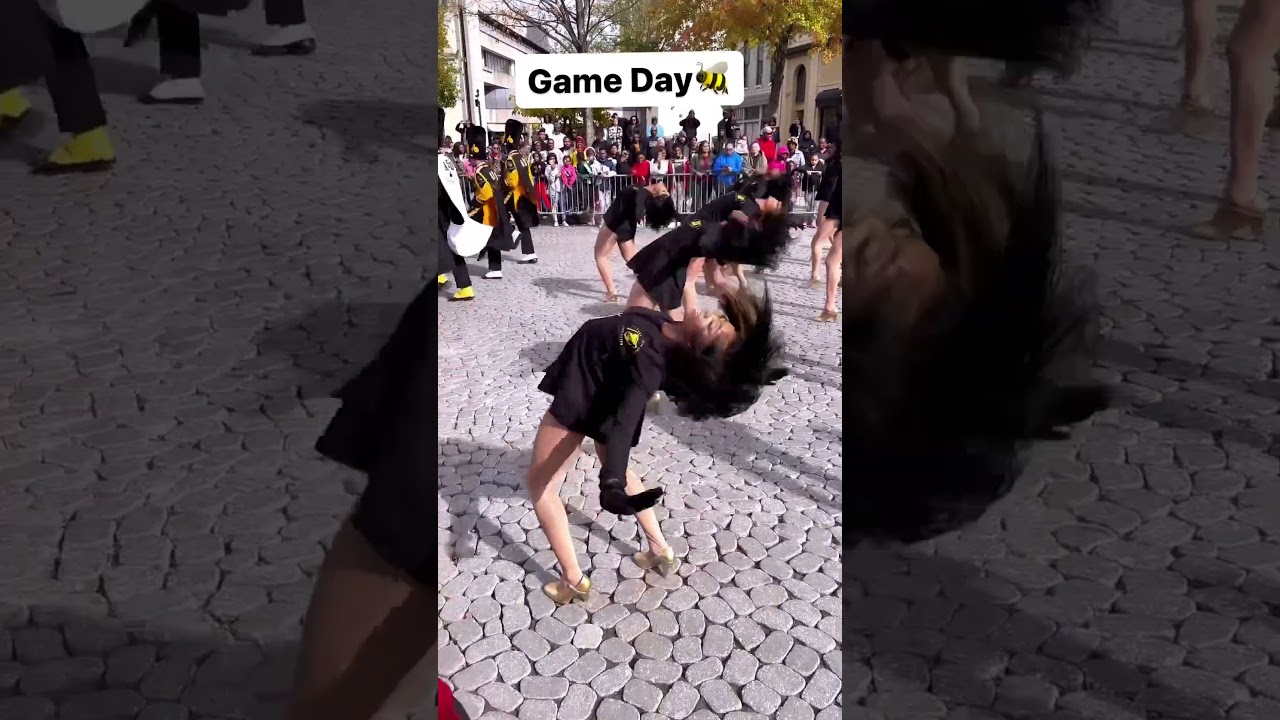 Alabama State Marching Hornets 🐝