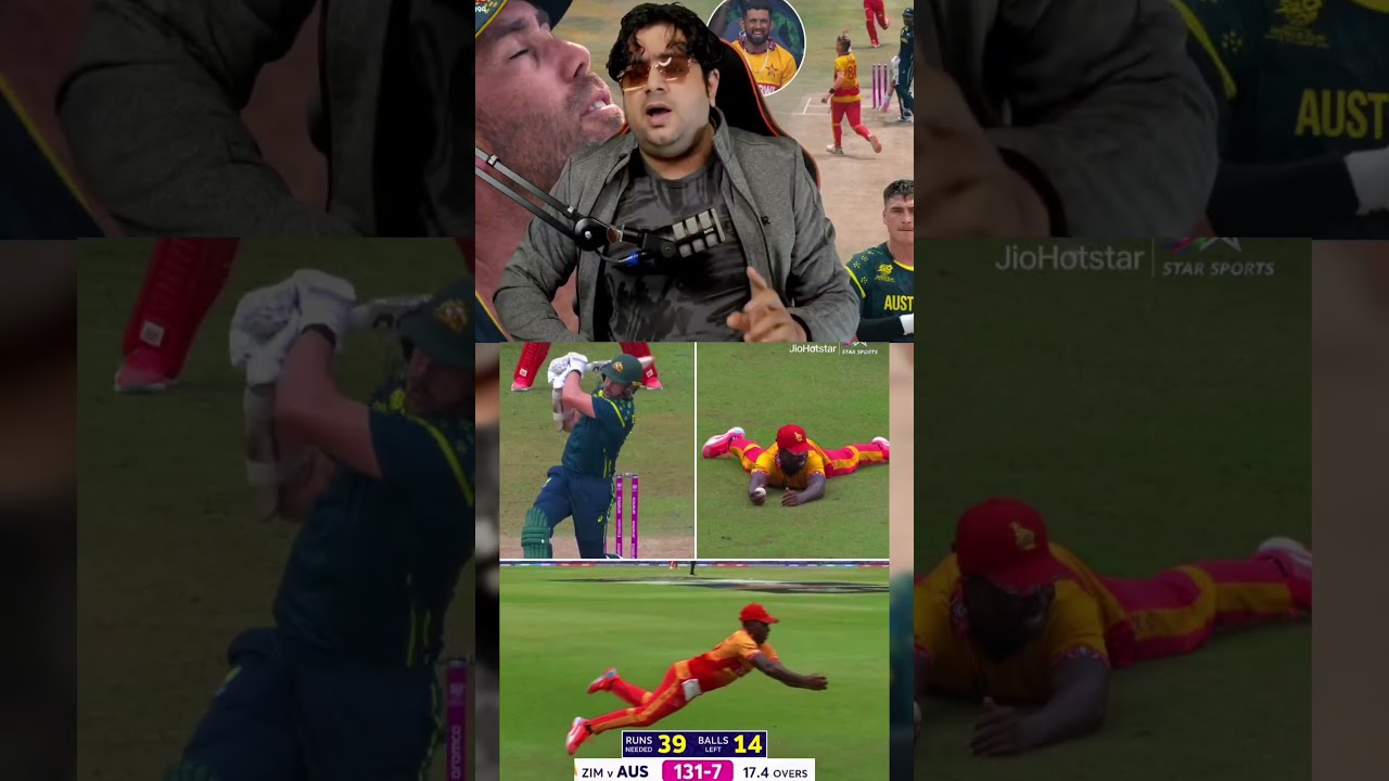 ZIM team fielding on top 🔥