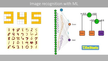 Image classification with machine learning - explained | CNN ANN Logistic regression Decision trees