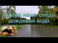 Виктор и Галина Смыла наши следы дождевая вода