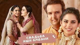видео: Как миллиардер Мукеш Амбани единственную дочь замуж выдавал (Свадьба Иши Амбани) картинка: Как миллиардер Мукеш Амбани единственную дочь замуж выдавал (Свадьба Иши Амбани)
