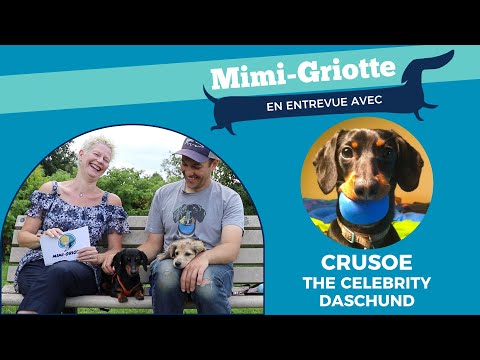 Vidéo: Crusoe et Oakley sont-ils frères ?