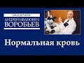 Нормальная кровь Раздел 1