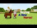 RanchNCraft- #1 Buying a New Horse!