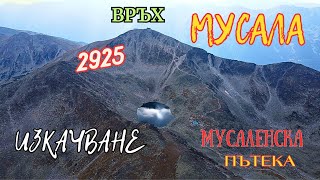 видео: Изкачване на връх Мусала от Боровец/ Безлифтово /-2023 картинка: Изкачване на връх Мусала от Боровец/ Безлифтово /-2023