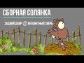 СБОРНАЯ СОЛЯНКА🌳 ЗАДНИЙ ДВОР 🤔НЕПОНЯТНЫЙ ЗВЕРЬ