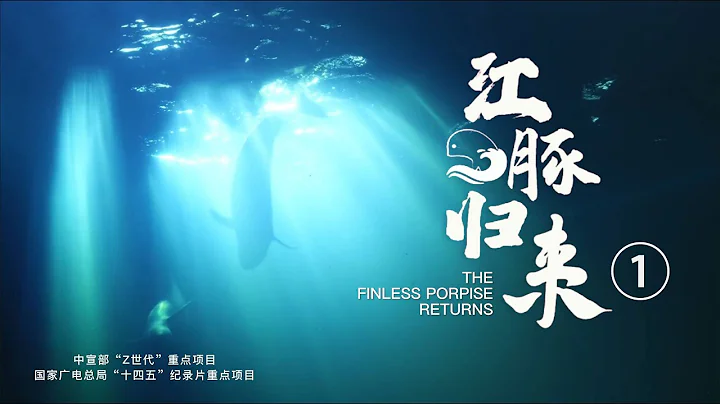 紀錄片《江豚歸來》第1集——“水中大熊貓”的回歸之路，長江江豚“最後的堡壘” - 天天要聞