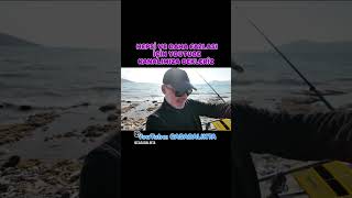 Alyanak Çupralar Bu Merada... Devamı Linkte