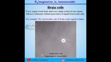 Class 10 CBSE | Control and Coordination | Biology