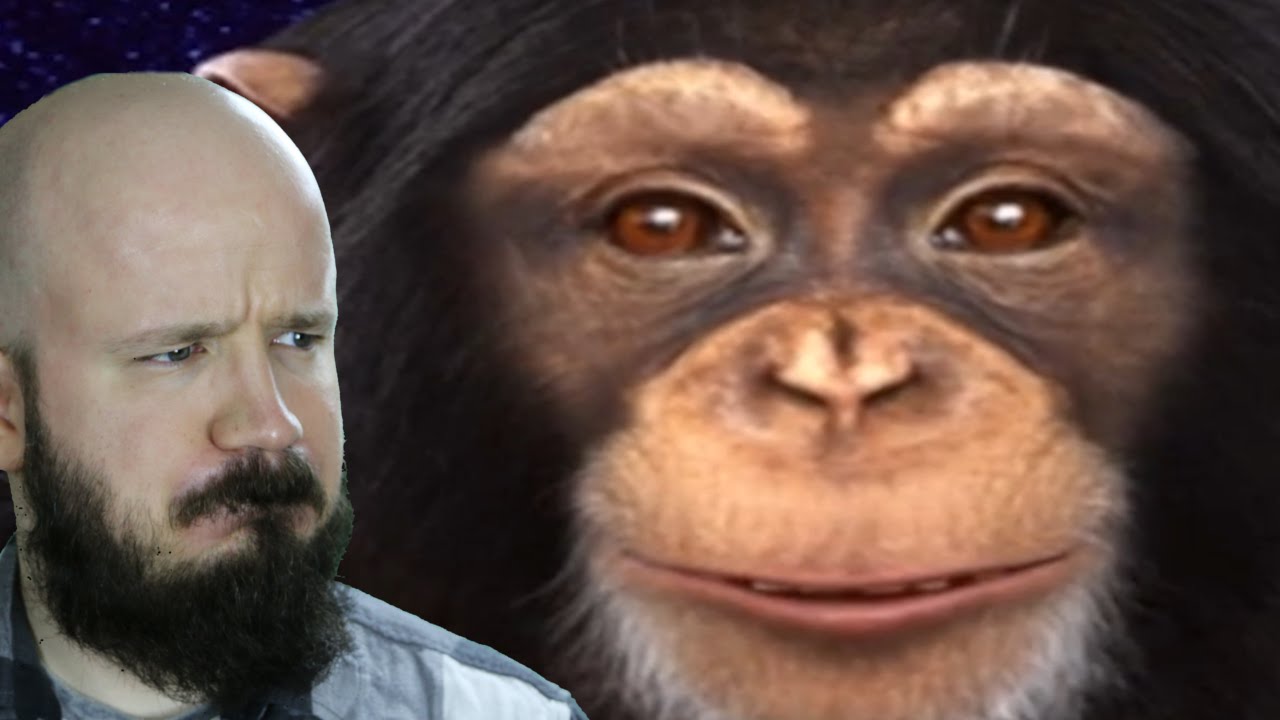 WORSE THAN EVIEBOT | Chimbot - YouTube