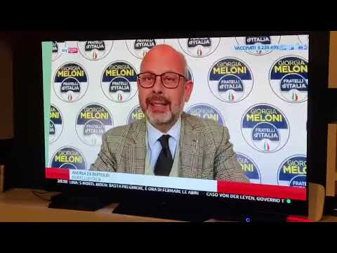 De Bertoldi (Fratelli d'Italia) a SkyTg24 sui lavoratori del gioco legale