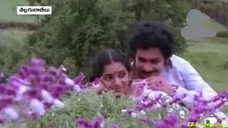 అదిగదిగో యమునా తీరం | Adigadigo yamuna teeram | Song | Tella Gulabeelu (1985)