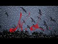 Yurcash ft. DarWish - Nеправильна Lюбов  [Official Audio]