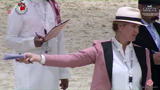 N.105 J.M.H HAJER - Emirates AH Breeders Championship 2023 - Fillies 2-3 Years Old Section B (Cl...