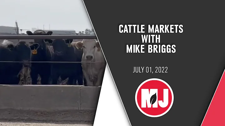 Cattle Markets | Mike Briggs | July 01, 2022