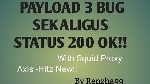 Payload 3 bug sekaligus Axis-Hitz status 200 OK speed gila!!!