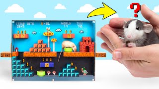 DIY Rat Maze Super Mario Game Style