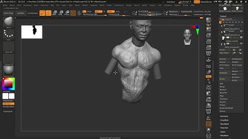 ZBrush Character Modeling Time laps | Torso part 1