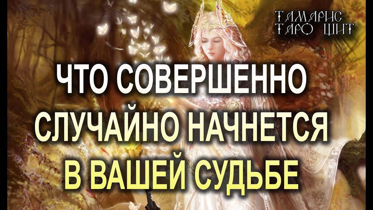 Тамарис таро щит последние расклады