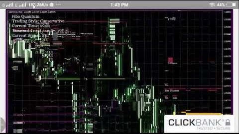 Fibo Quantum Forex Trading Live Action