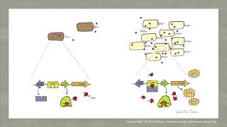 Microbial Adaptation (part 2) by Irwan's Work Channel 410 views 2 years ago 18 minutes