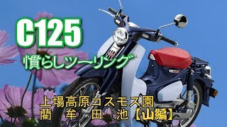 "Honda SuperCub C125" 怒涛の慣らしツーリング【山編】