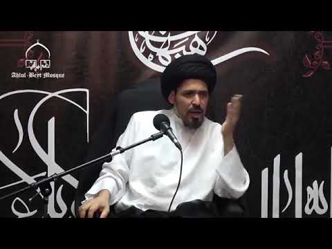 السيد منير الخباز طرق علاج الأمراض النفسية