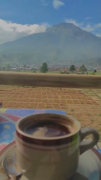 PAGI YANG SANGAT INDAH DI TEMANI SECANGKIR KOPI | HALU STORY #shorts  #storyhalu #storyig #storywa