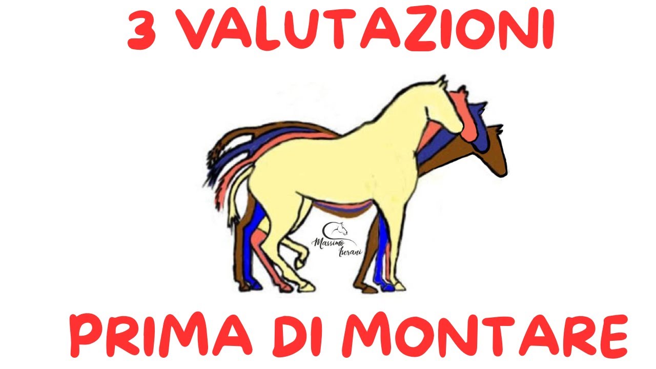 3 Valutazioni da fare prima di montare a cavallo.